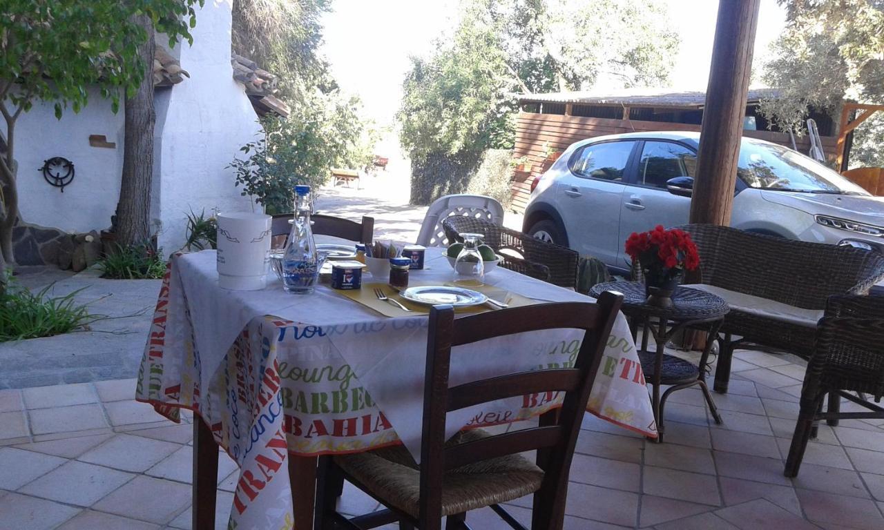 B&B Il Girasole Сант'Анна-Аррези Экстерьер фото