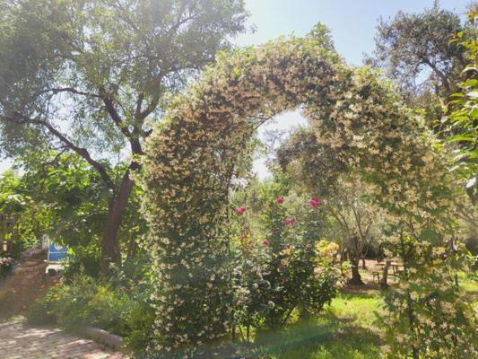 B&B Il Girasole Сант'Анна-Аррези Экстерьер фото
